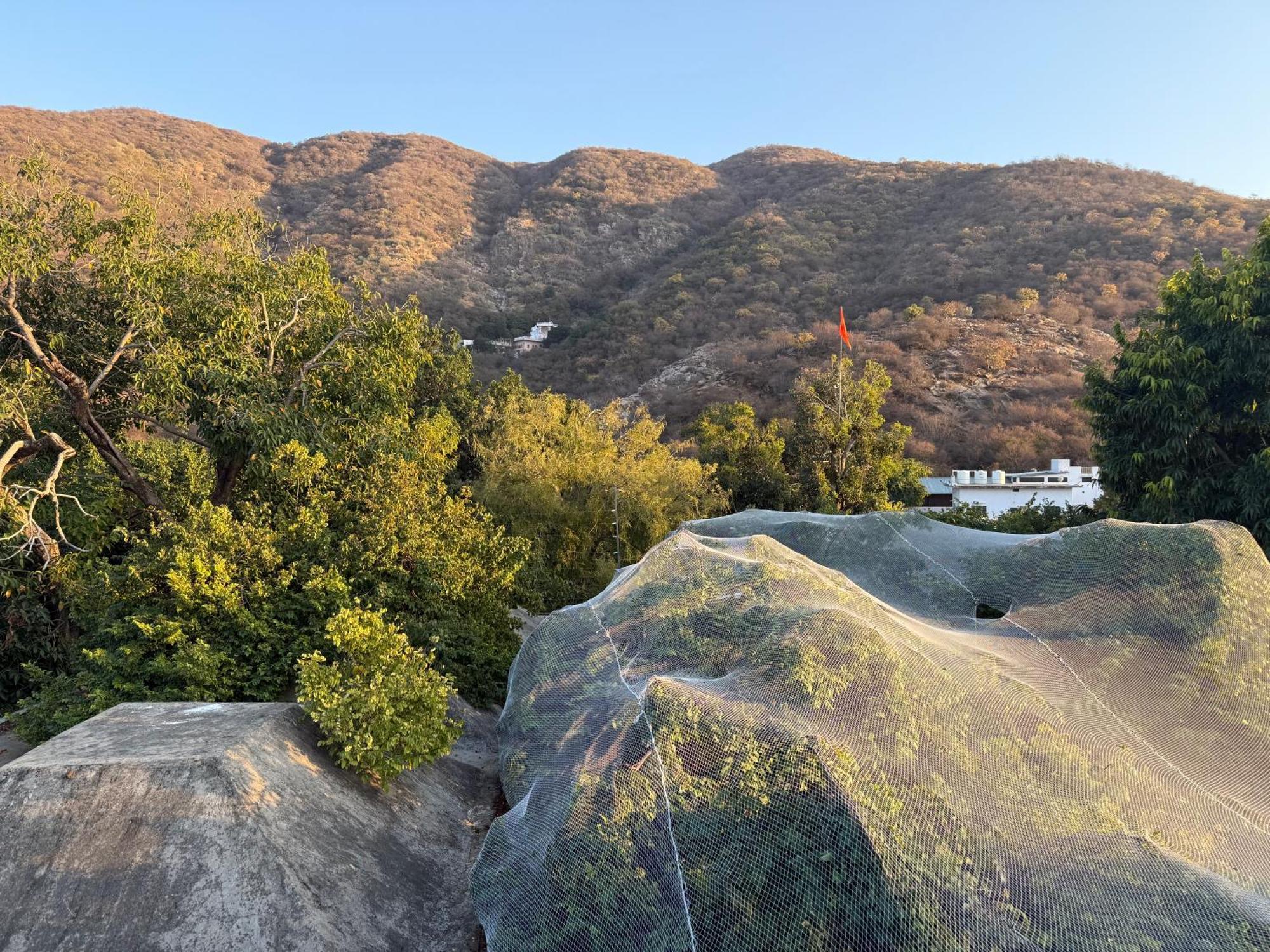 Hotel Green Heaven Resort Pushkar Exteriör bild
