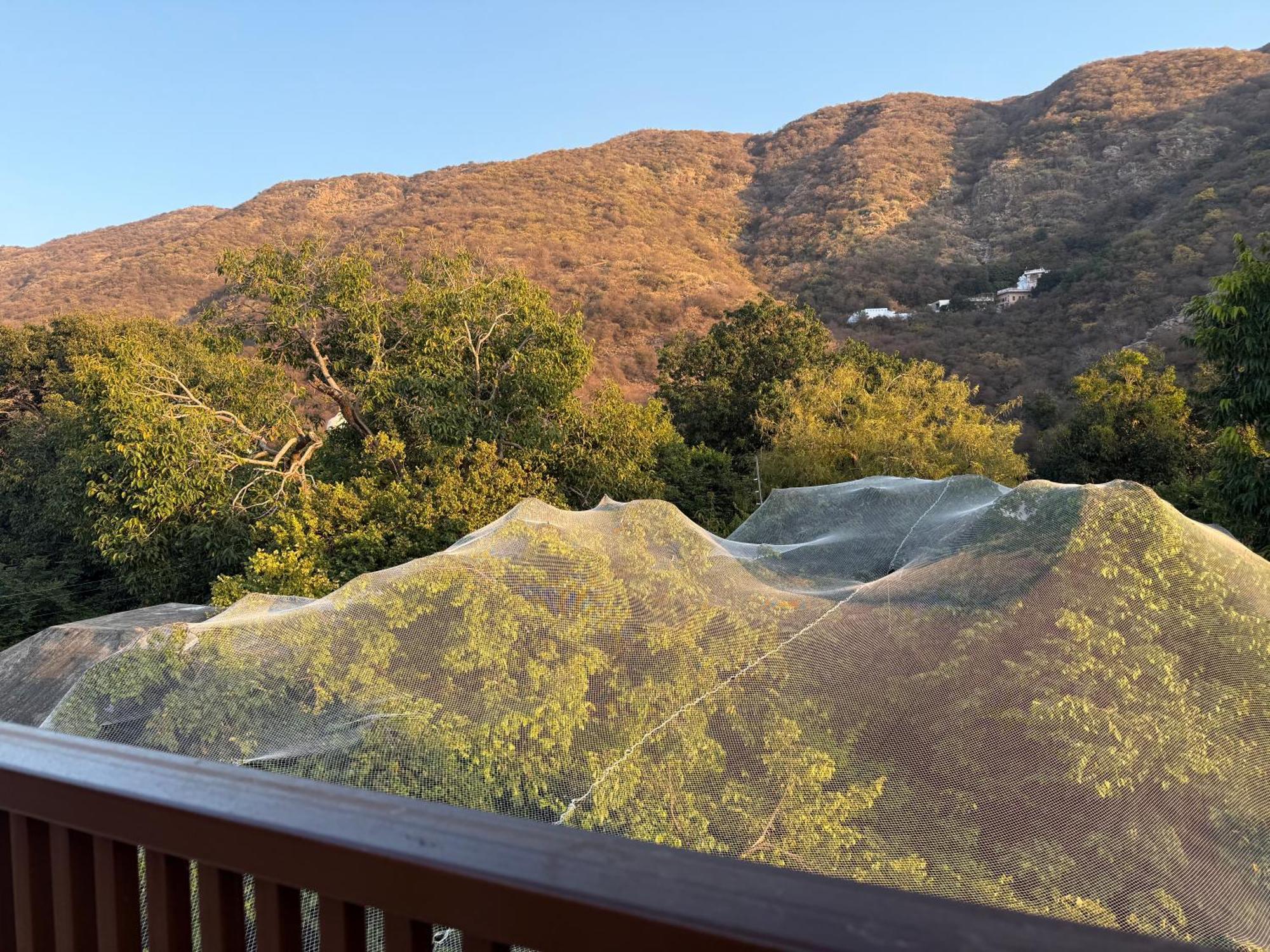 Hotel Green Heaven Resort Pushkar Exteriör bild