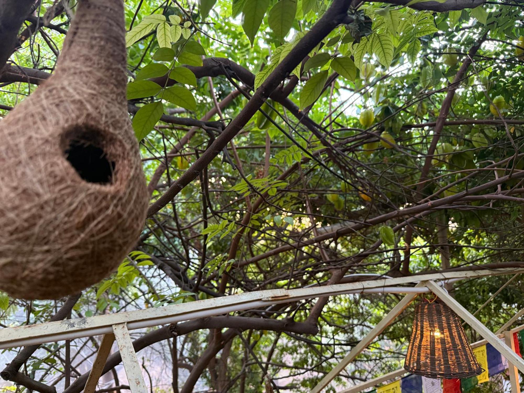Hotel Green Heaven Resort Pushkar Exteriör bild