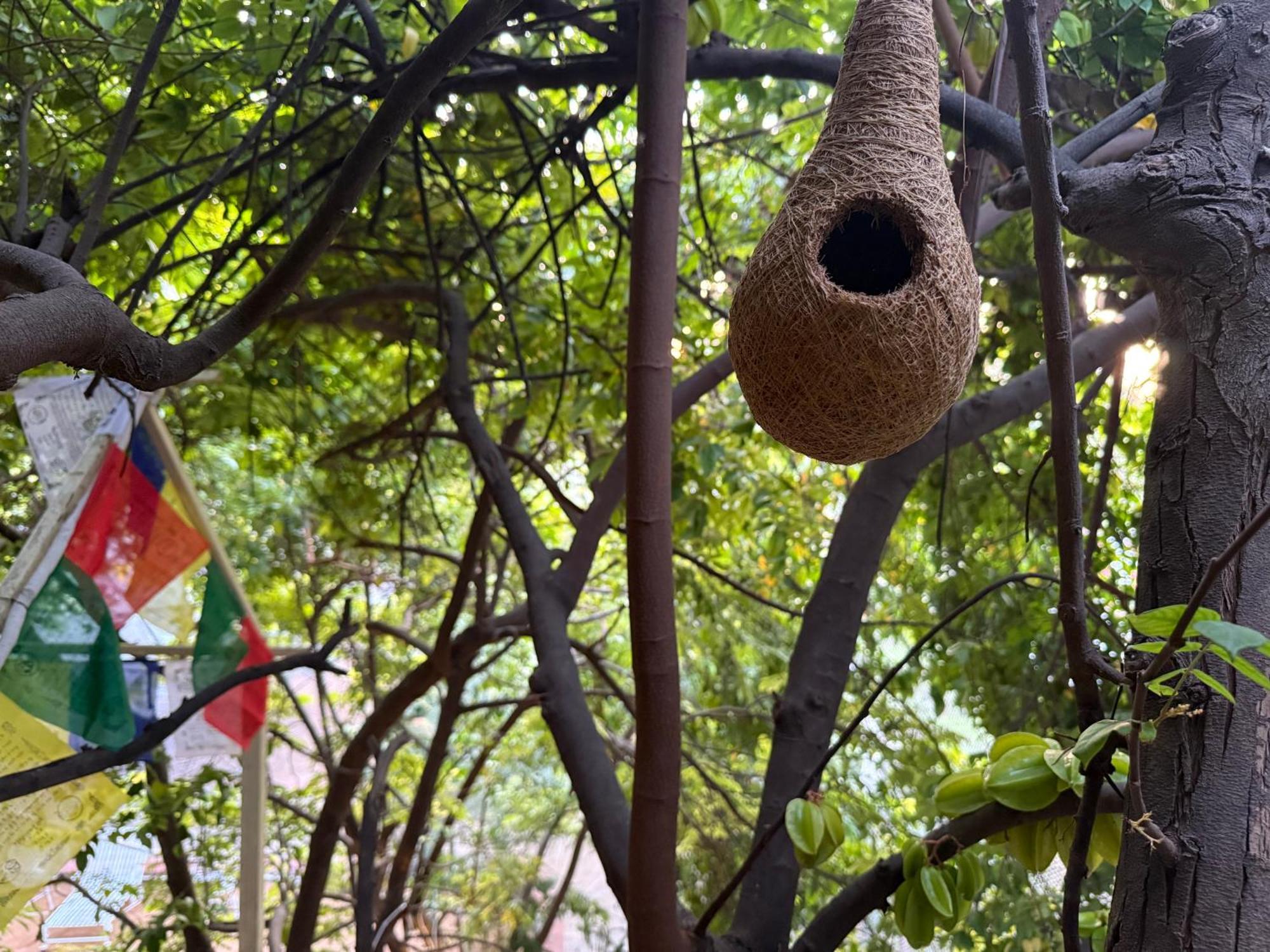 Hotel Green Heaven Resort Pushkar Exteriör bild