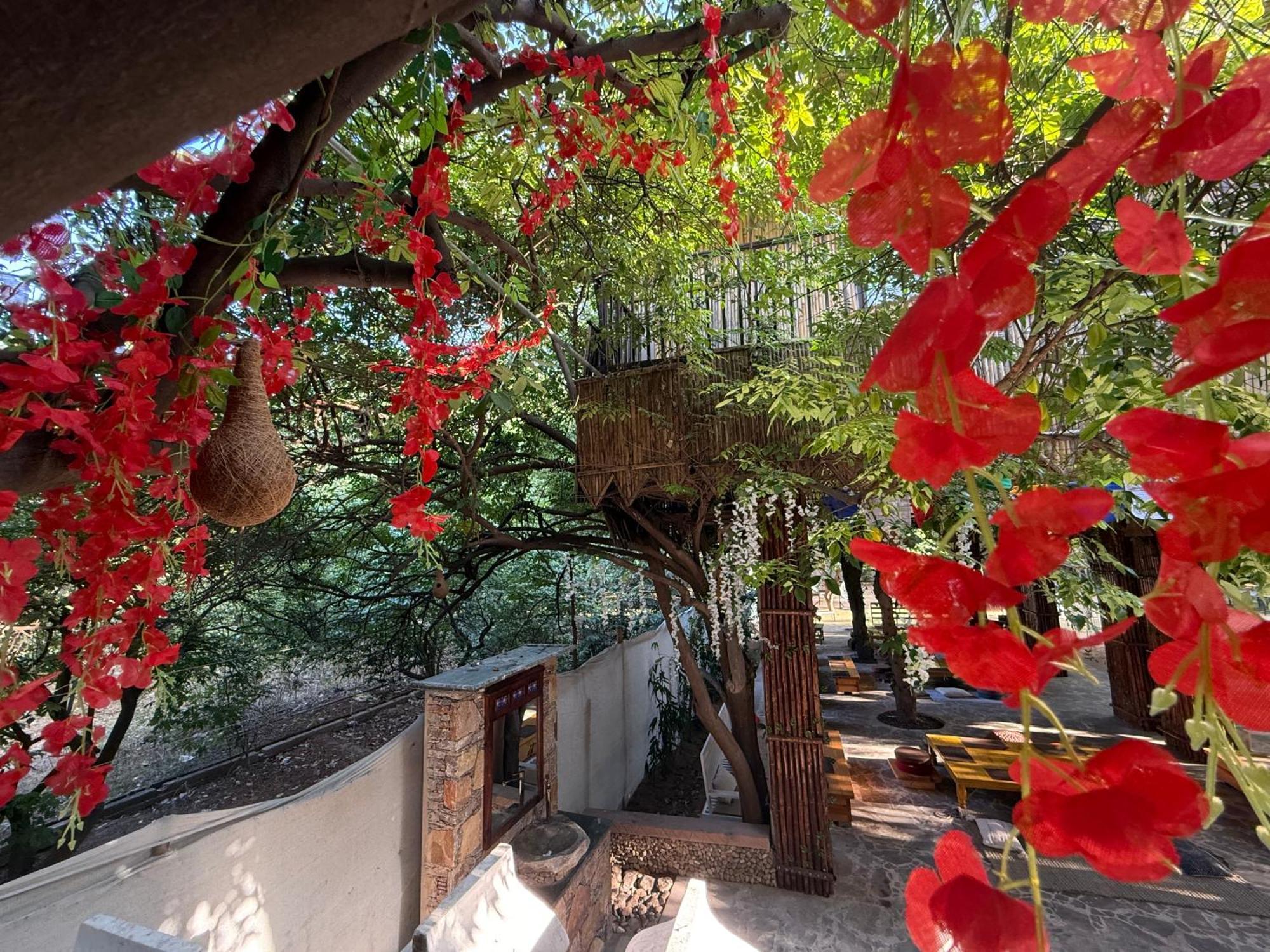 Hotel Green Heaven Resort Pushkar Exteriör bild