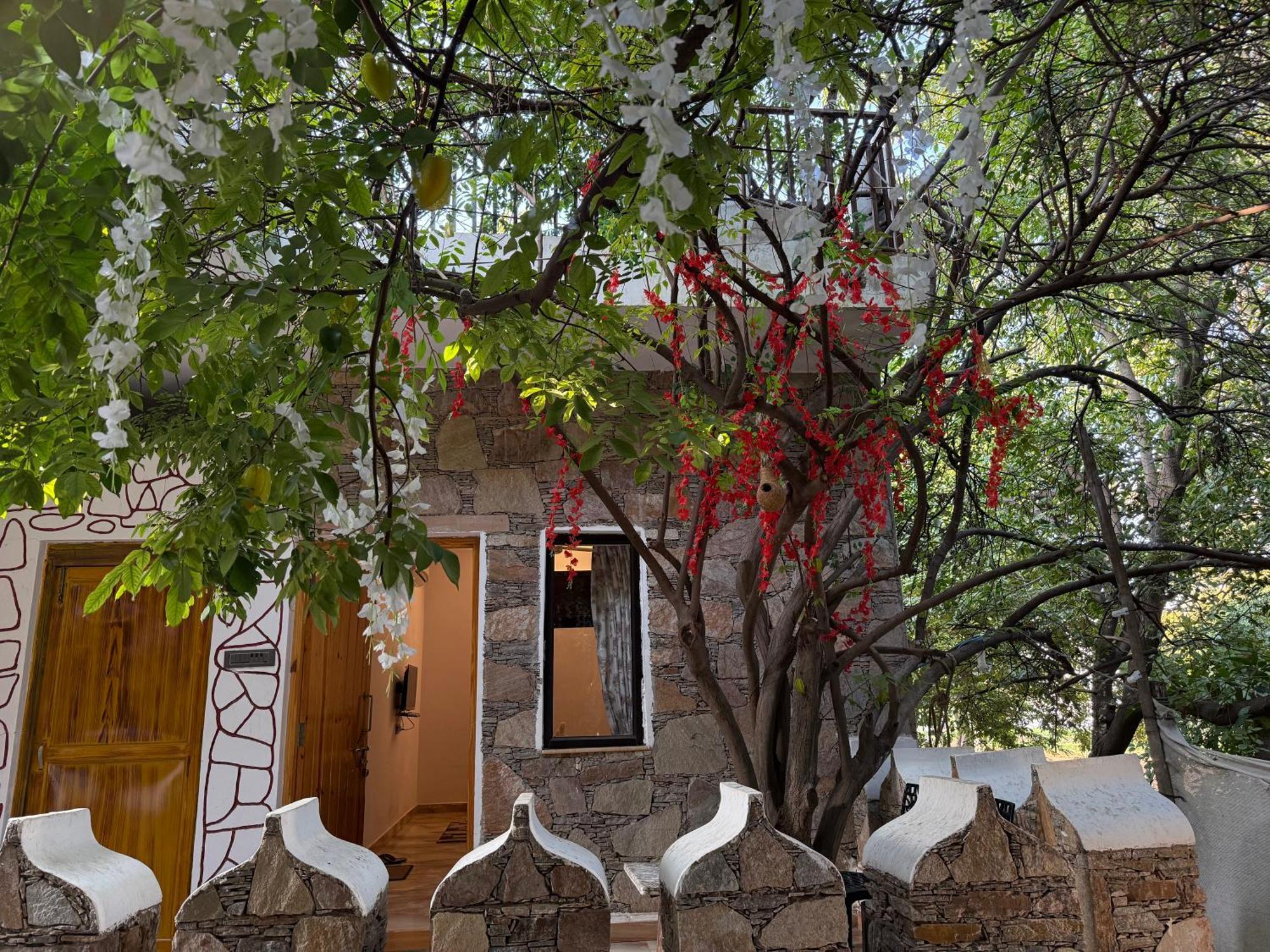 Hotel Green Heaven Resort Pushkar Exteriör bild