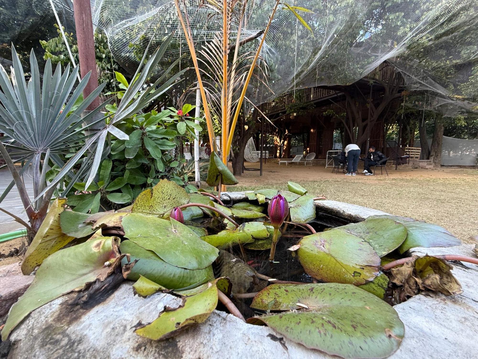 Hotel Green Heaven Resort Pushkar Exteriör bild