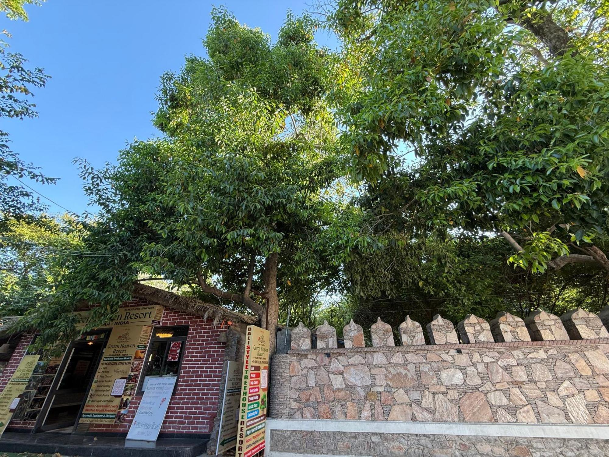 Hotel Green Heaven Resort Pushkar Exteriör bild